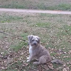 Meet your Posher, Leland